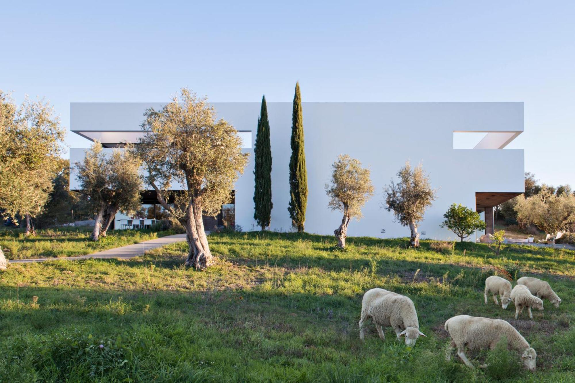 Villa Extramuros Arraiolos Exteriér fotografie